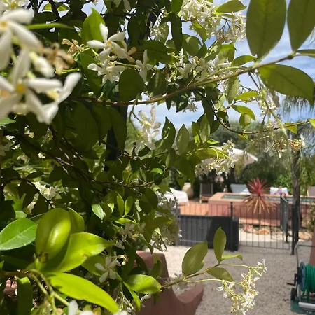 Provencale 4 Etoiles - Piscine & Jardin Zen